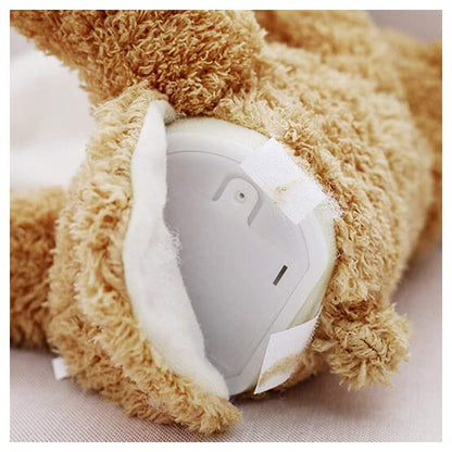 Teddy Cute™ | Schattige en Zachte Pluche Knuffel