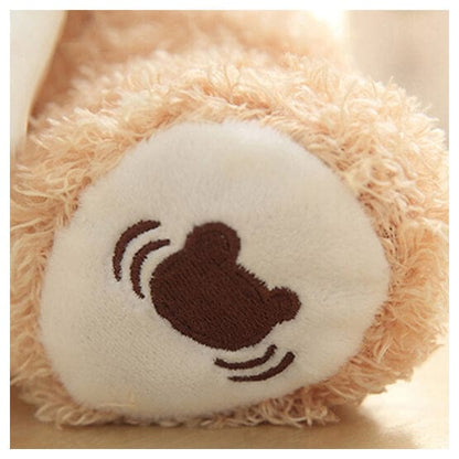 Teddy Cute™ | Schattige en Zachte Pluche Knuffel