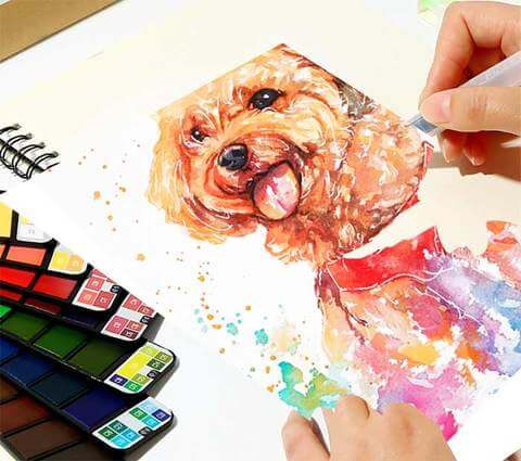 Aquarel Schilderskit